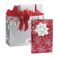 Christmas Gift Packaging