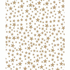 Click on Gold Stars Tissue Paper to see product details