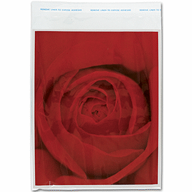 Click on Clear Polypropylene Bags w/ Adhesive Lip to see product details