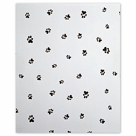 Click on Paws Cello Bags to see product details