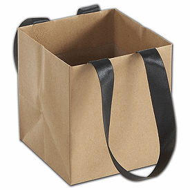 Click on Kraft Mini Eco Square Euro-Shoppers to see product details