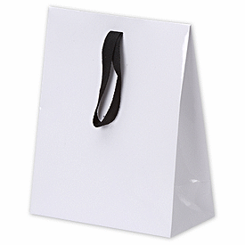 Click on White Gloss Laminated Gift Euros to see product details