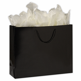 Click on Premium Black Gloss Euro-Shoppers to see product details