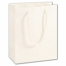 Click on 100% Recyclable White Kraft Euro-Shoppers to see product details