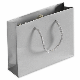 Click on Silver Matte Laminated Mini Euro-Totes to see product details