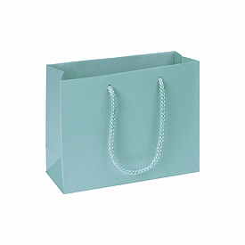 Click on Premium Aqua Matte Euro-Shoppers to see product details