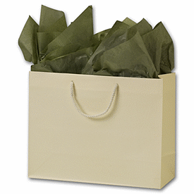 Click on Premium Ivory Matte Euro-Shoppers to see product details