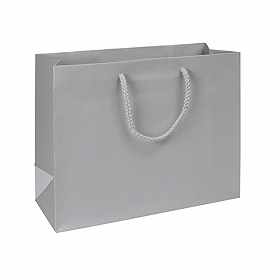 Click on Premium Silver Matte Euro-Shoppers to see product details