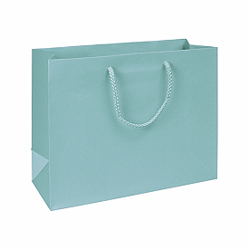 Click on Premium Aqua Matte Euro-Shoppers to see product details