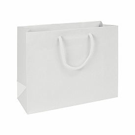 Click on Premium White Matte Euro-Shoppers to see product details