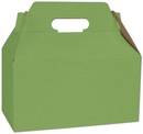 Click on Apple Green Varnish Striped Gable Boxes to see product details