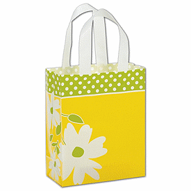 Click on Dashing Daisy Shoppers to see product details