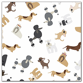Click on Fancy Pets Polypropylene Film Rolls to see product details