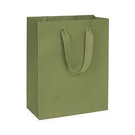 Click on Greenwich Green Manhattan Eco Euro-Shoppers to see product details