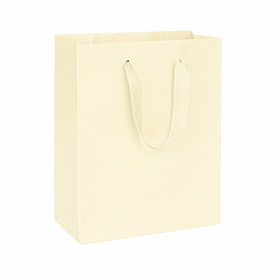 Click on I Love NY Ivory Manhattan Eco Euro-Shoppers to see product details