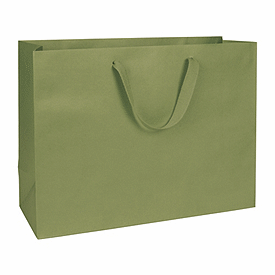 Click on Greenwich Green Manhattan Eco Euro-Shoppers to see product details