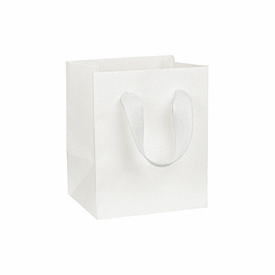 Click on Wall Street White Manhattan Eco Euro-Shoppers to see product details