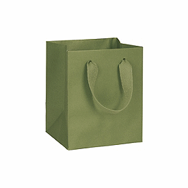 Click on Greenwich Green Manhattan Eco Euro-Shoppers to see product details