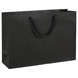 Click on Broadway Black Manhattan Eco Euro-Shoppers to see product details