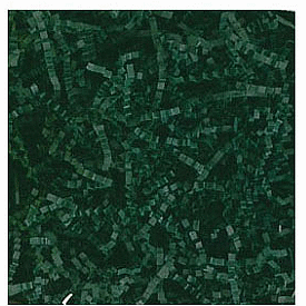 Click on Forest Green Crinkle Cut Fill to see product details
